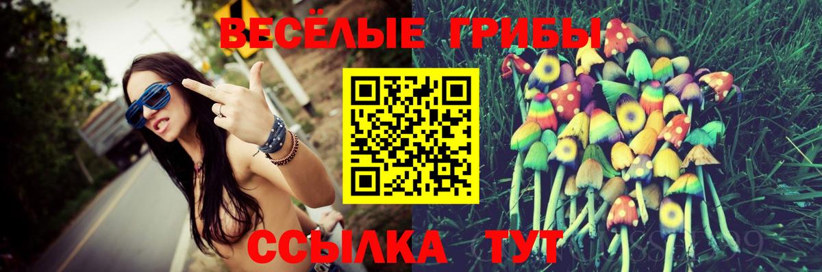 Псилоцибиновые грибы MAGIC MUSHROOMS  Галлюциногенные грибы мухоморы  Вход с VPN  Ревда 