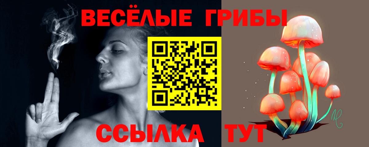 Псилоцибиновые грибы мухоморы Ревда
